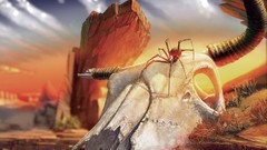 Death spiders skulls artwork deserts