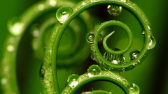Debian Green Linux grass