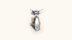 Deer minimalistic artwork Simple Background