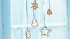 Delicacies high Food and