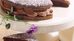 Delicious-cake chocolate-cake kuchen torta