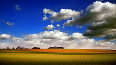 Delineated field clouds nature