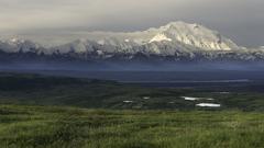 Denali high