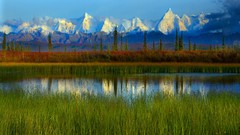 Denali National Park