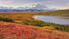 Denali National Park