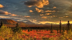 Denali National Park