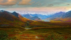 Denali National Park