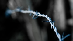 Depth of field barbed