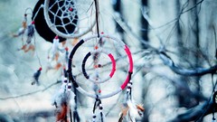 Depth of field dreamcatchers