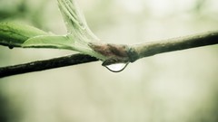 Depth of field macro