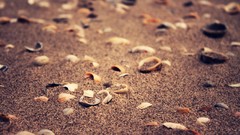 Depth of field sand