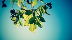 Depth of field skyscapes