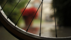 Depth of field wheels