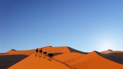 desert Camels sky sand landscape dunes