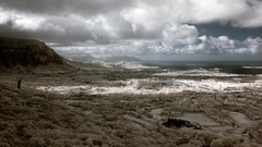 Desert like nature landscape