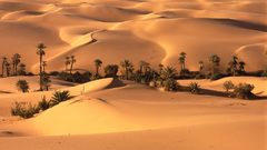 Desert oasis libya World