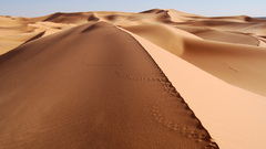 desert sand tracks dunes landscape footprints nature
