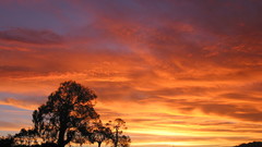 Desert sunset American West