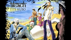 Deserts bleach kurosaki ichigo