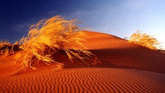Deserts sand dunes Africa