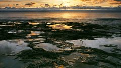 Deserves swamp skyline clouds