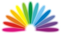 Design abstract multicolor Peacocks