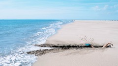 Design artwork Viral