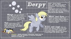 Design graph ponies My Little Pony: Friendship is Magic Derpy 