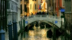 Design venice architecture