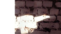 Design woman graphics tattoos Inked Girls