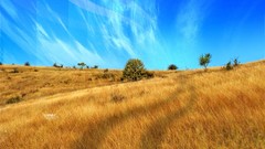 Desktopography skyscapes