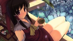 Detached sleeves touhou miko