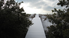 Dewees having stiffy for