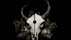 Dh silversun pickups Brand