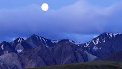 Dibosdownload blogspot com