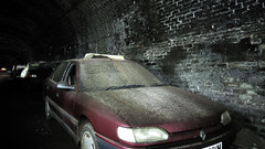 Didn photograph most of