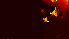 Didn realize how many