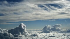 digital art Animals lion clouds sky horizon artwork