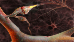 digital art biology artwork neurons