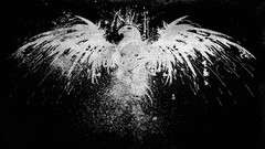 digital art eagle Animals Minimalism black background Birds