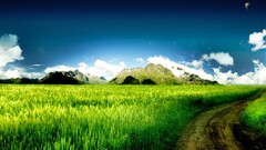 digital art grass landscape