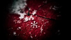 digital art leaves snow Plants