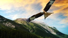 Digital art Lemmy Lemmy X