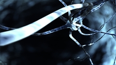 Digital art monochrome neurons