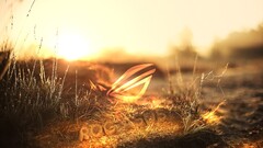 digital art Plants asus