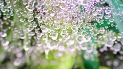 Digital art raindrops