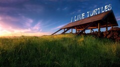 digital art Typography landscape fuckscape grass Plants outdoors