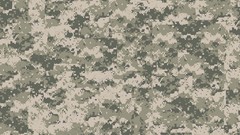 Digital Camouflage