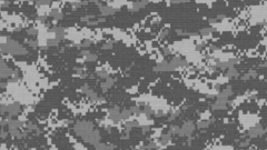 Digital camouflage Art