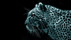 Digital Fractals monochrome Leopards